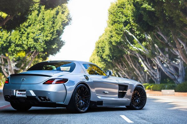 Mercedes silver car on a background of trees