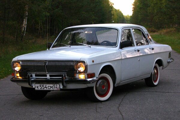 A gray retro Volga stands in the middle of the road, surrounded by trees