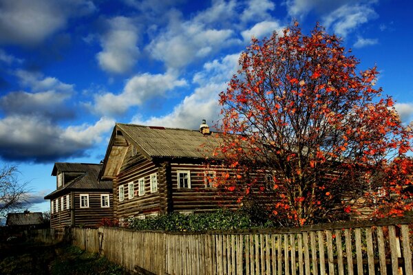 Case rustiche con recinzione in autunno