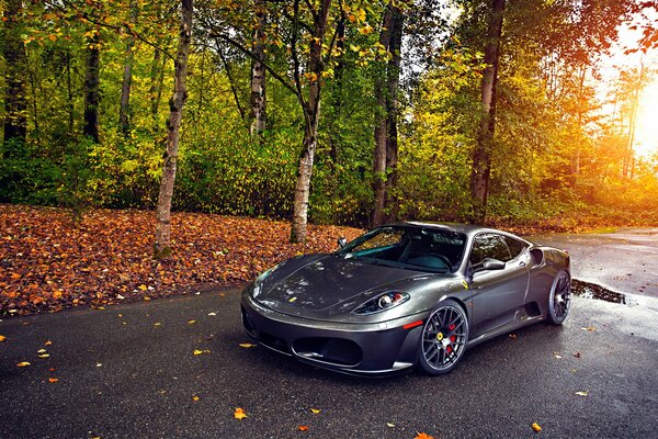 Voiture Ferrari gris sur fond d automne doré