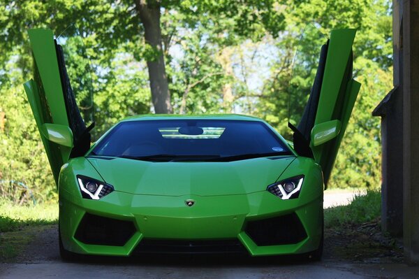 Zielony Lamborghini Aventador widok z przodu