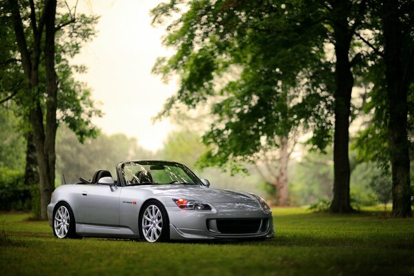 Car honda s2000 in the forest on the grass color bokeh