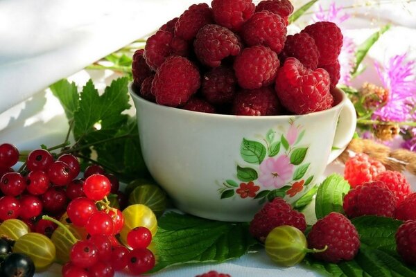 Raspberries in a mug, currants and gooseberries