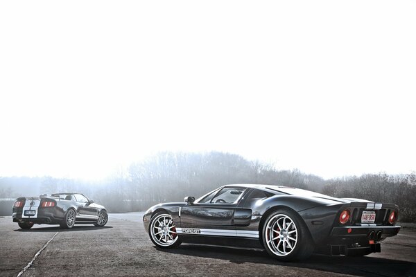 Two sporty Ford Mustang Shelby and GT on the track