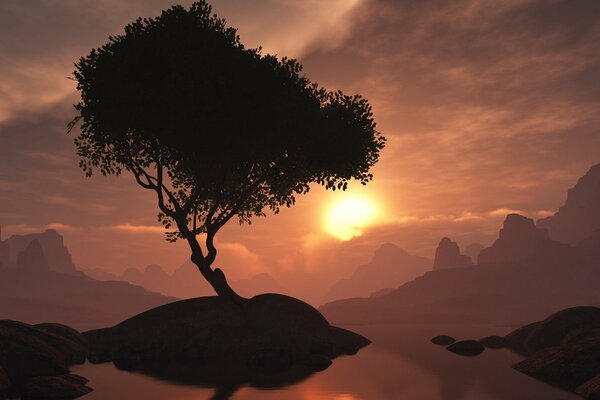 Ein Baum, der bei Sonnenuntergang auf der Insel wächst