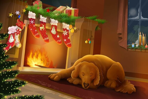 The dog is napping near the fireplace