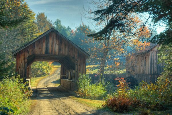 Im Herbst ist der Wald, wo die Bäume entlang der Straße wunderschön sind!