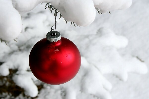 Rote Weihnachtskugel auf Schneehintergrund