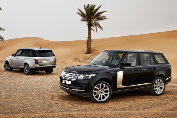 SUV range rover sullo sfondo del deserto