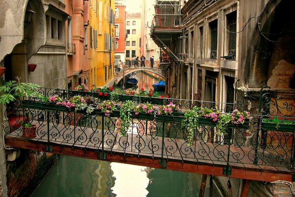 Pont avec des fleurs sur l eau à Venise