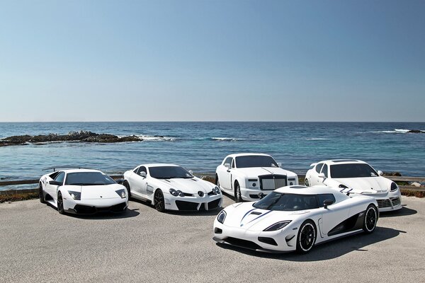 Coches blancos los mejores amigos de los delfines