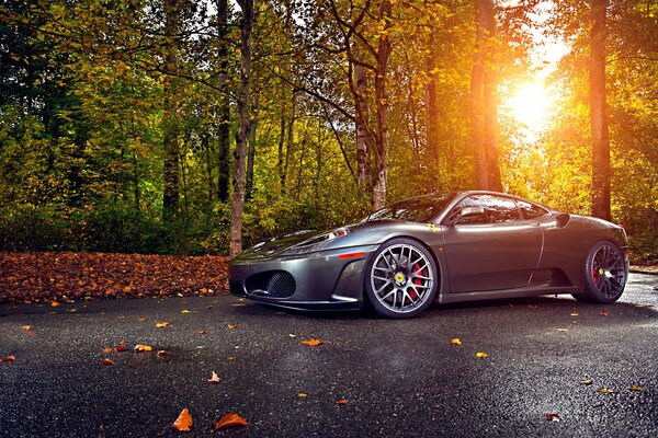 Image de voiture sur fond de forêt d automne