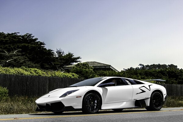 Lamborghini bianco sulla strada su uno sfondo di alberi e cielo