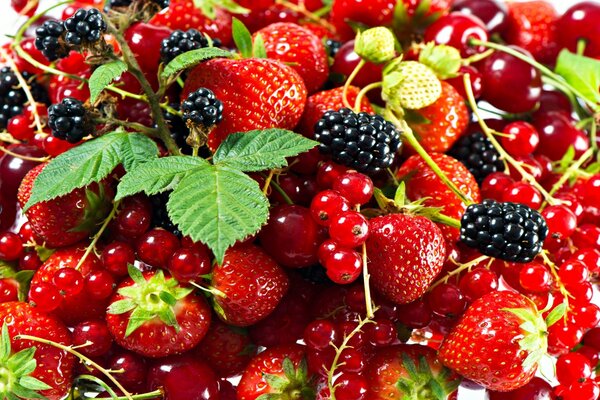 Fülle von Beeren, Erdbeeren und Brombeeren