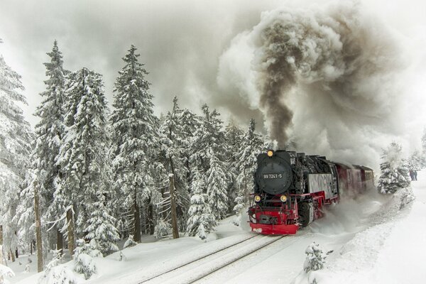 Winterlandschaft Zug rast durch den Wald