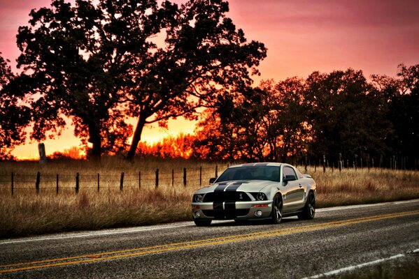 Srebrny Ford Mustang jedzie drogą na tle zachodu Słońca