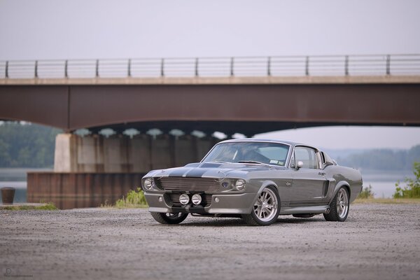 Ford Mustang gris debajo del puente