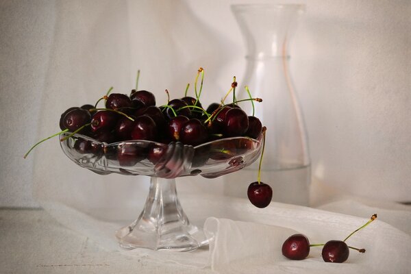 Nature morte. Cerises juteuses dans un vase