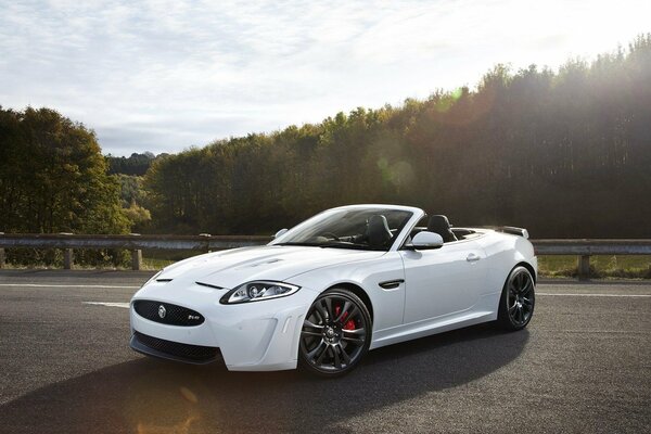 Jaguar blanco convertible en la carretera