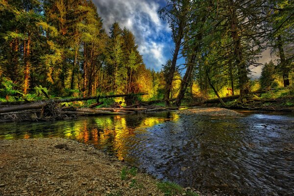 Fascinante paisaje de otoño en el río