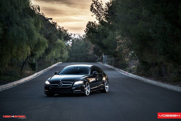 Mercedes noire avec 219 sur la route au milieu des arbres