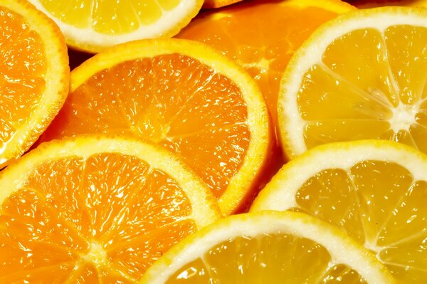 Juicy bright picture of citrus fruits