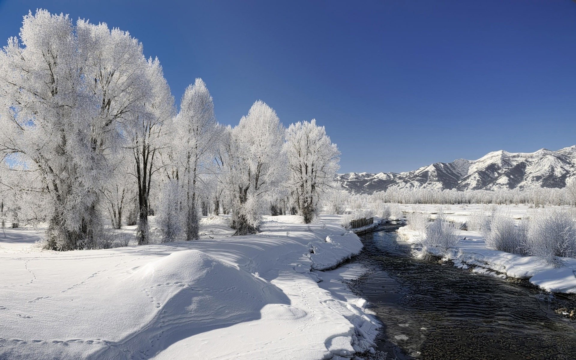 natur winter bäume schnee frost fluss