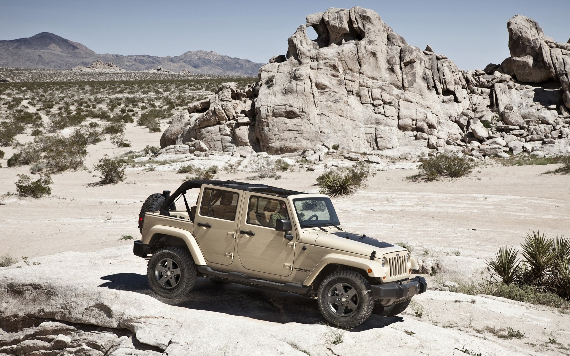 jeep wrangler coche alto campo a través suv