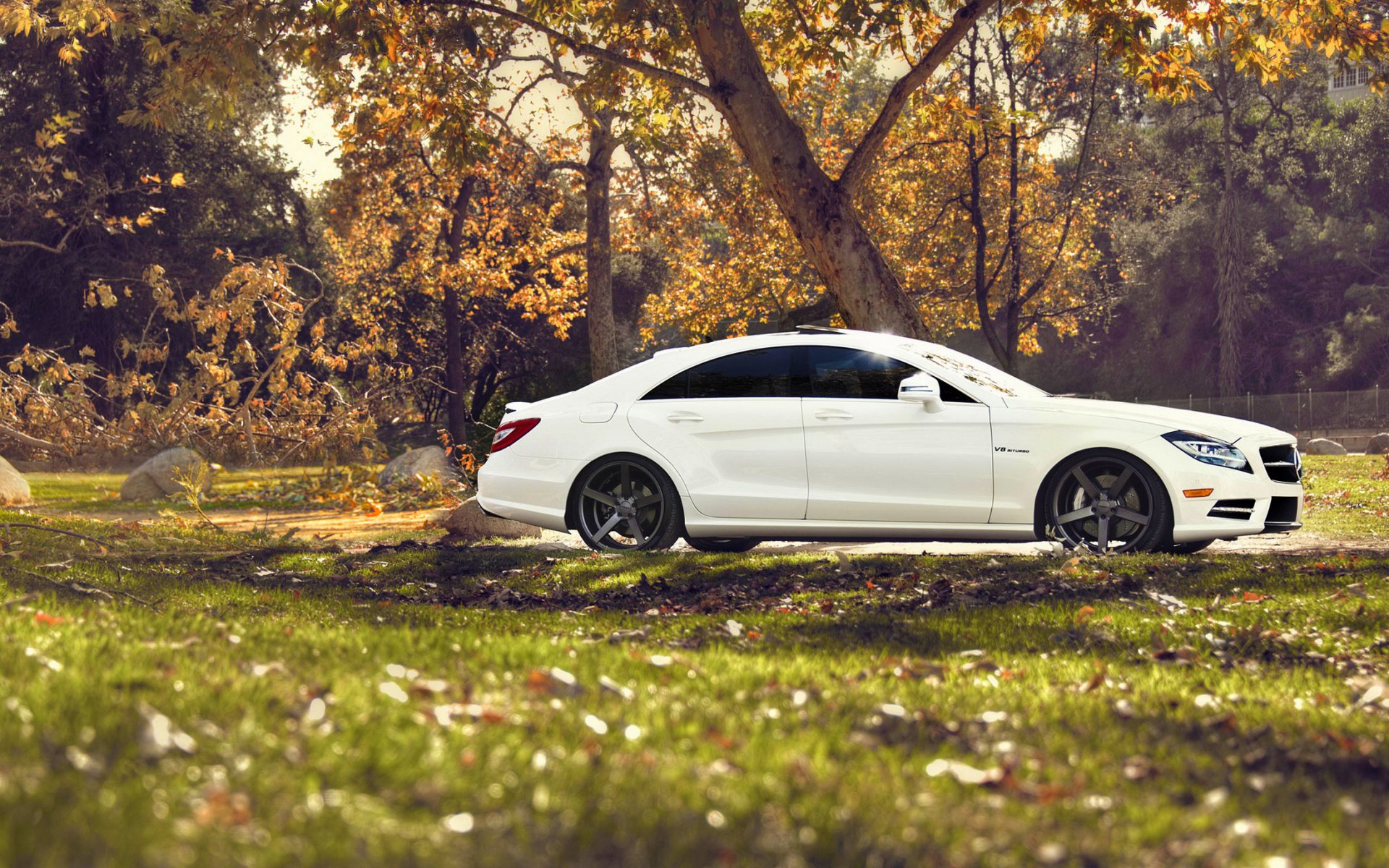 mercedes benz cls mercedes tuning natur