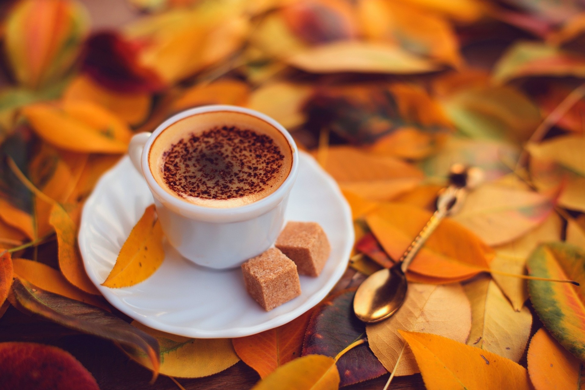 foglia piattino caffè giallo schiuma cioccolato cucchiaio cubi autunno zucchero tazza