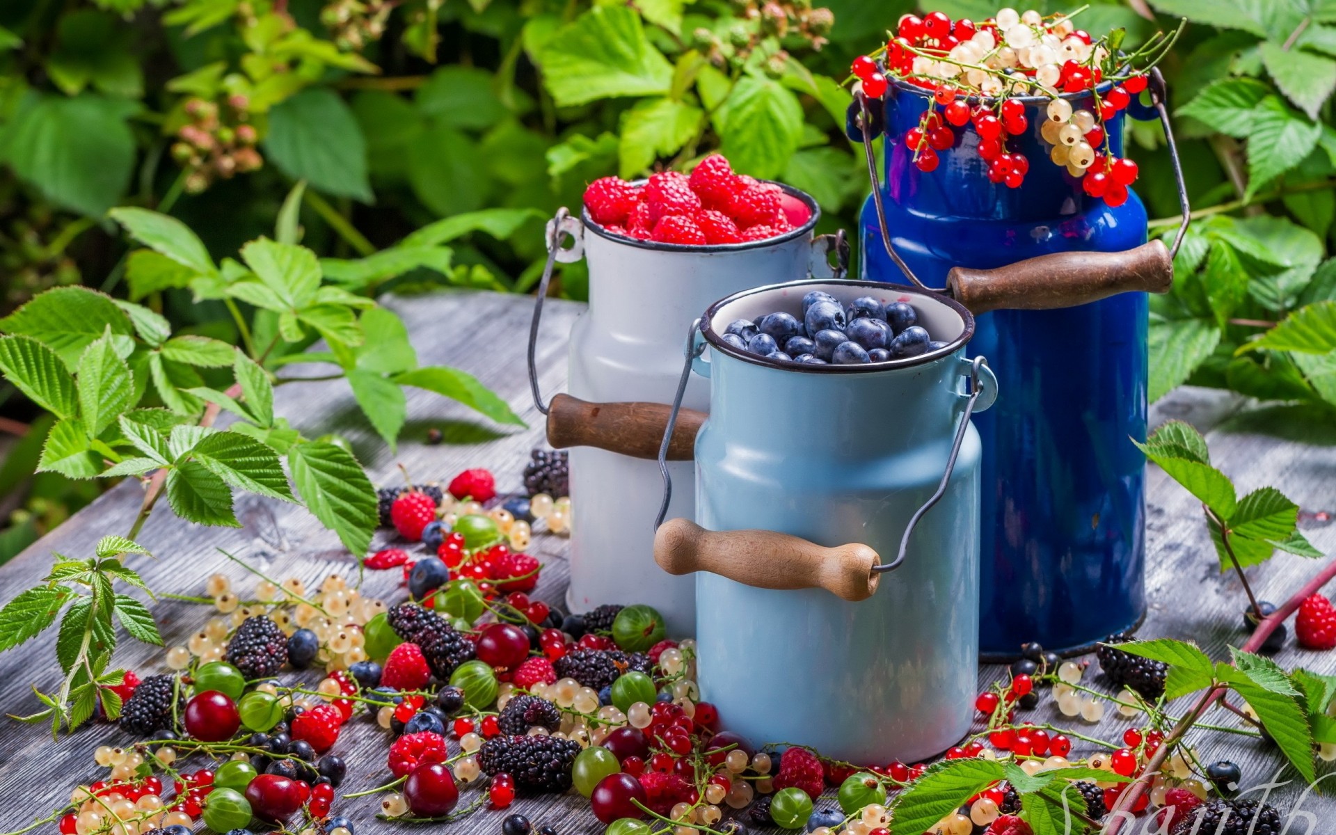 beeren essen sommer