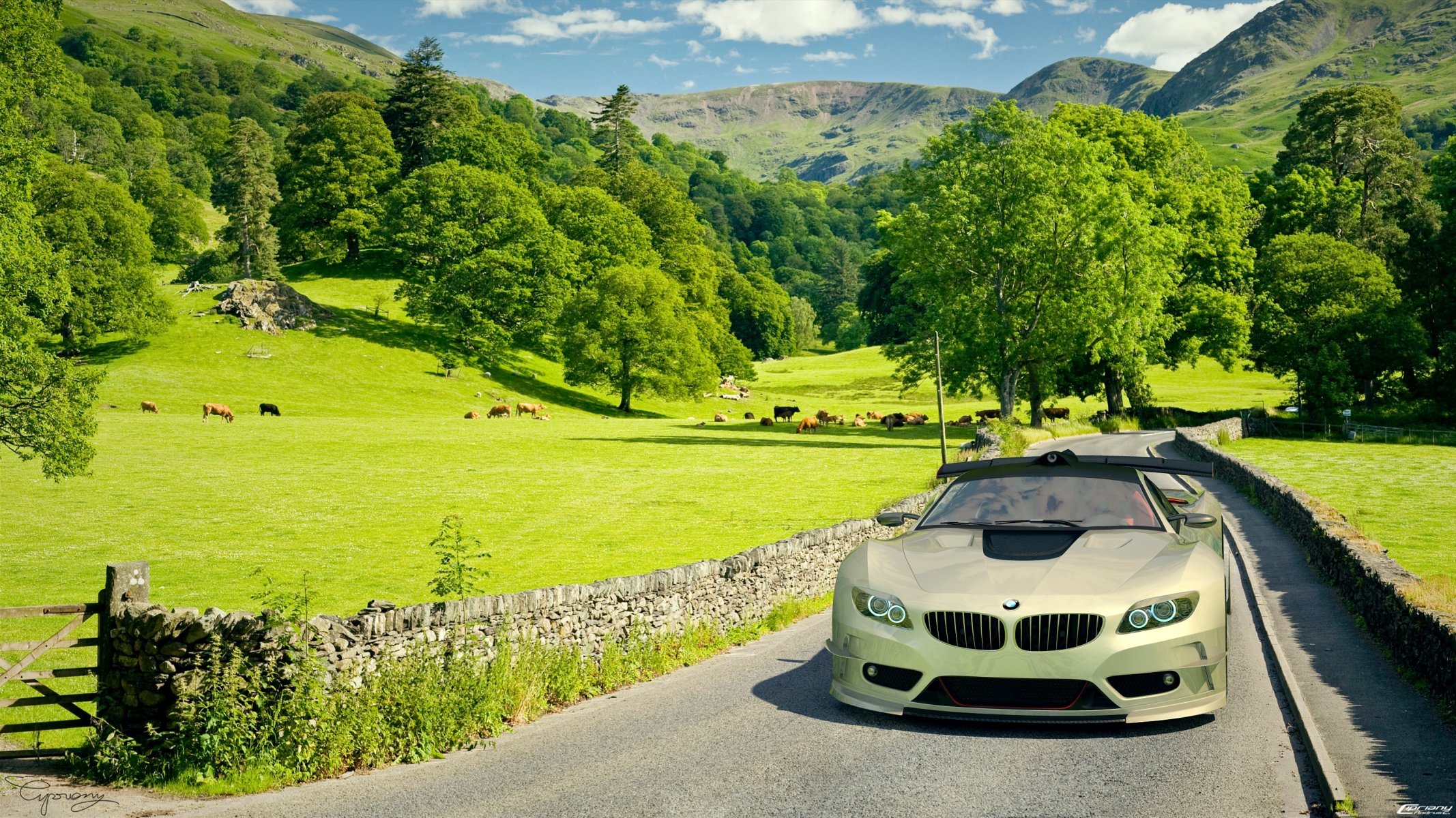 bmw bmw samochód samochód pole