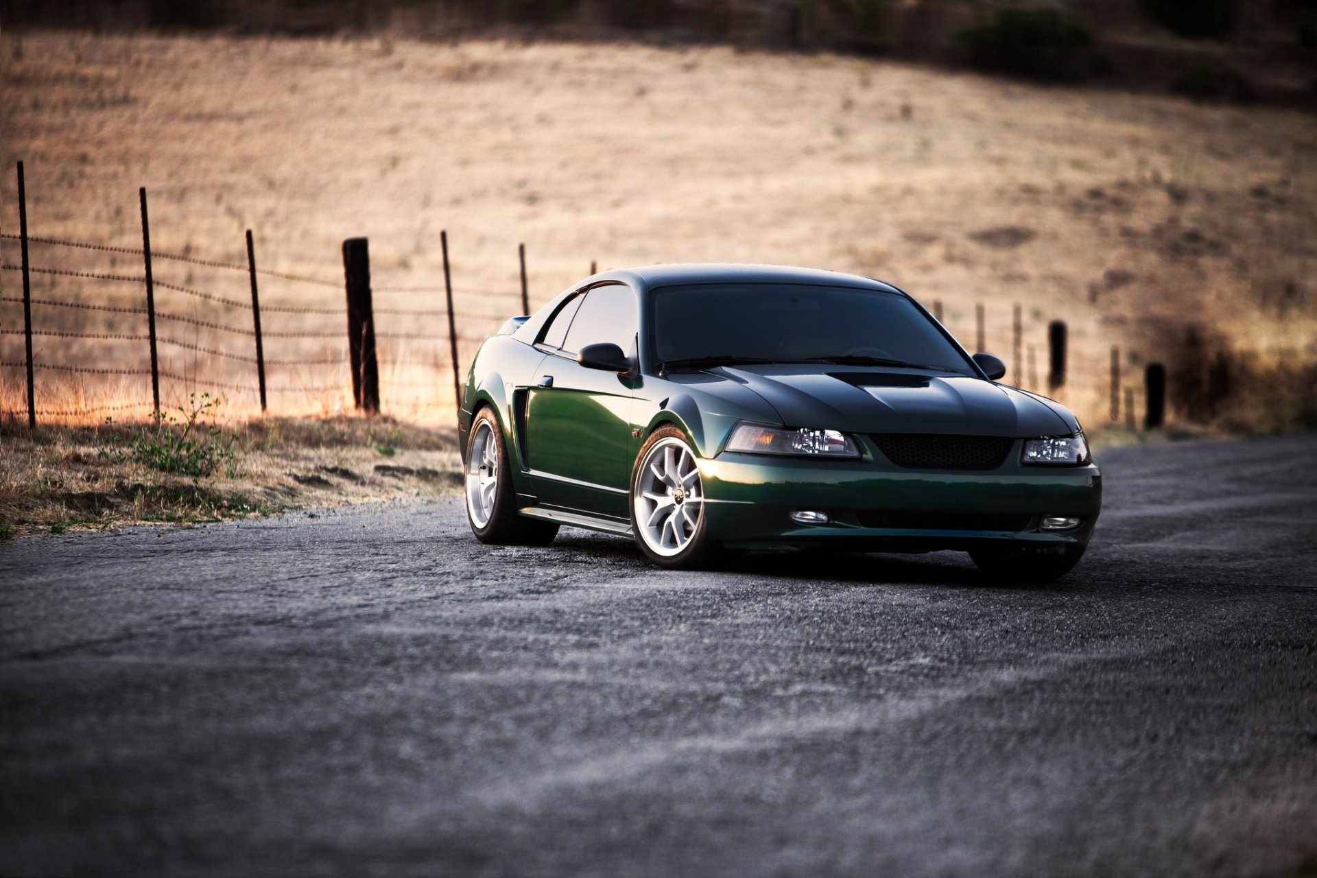 ford mustang verde strada campo recinzione