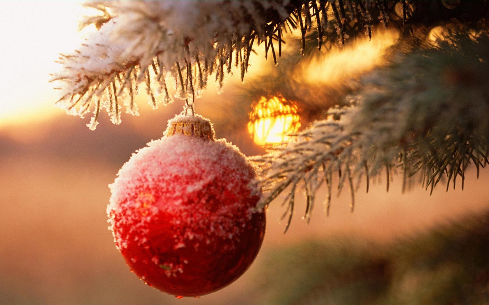 año nuevo bola rama árbol de navidad