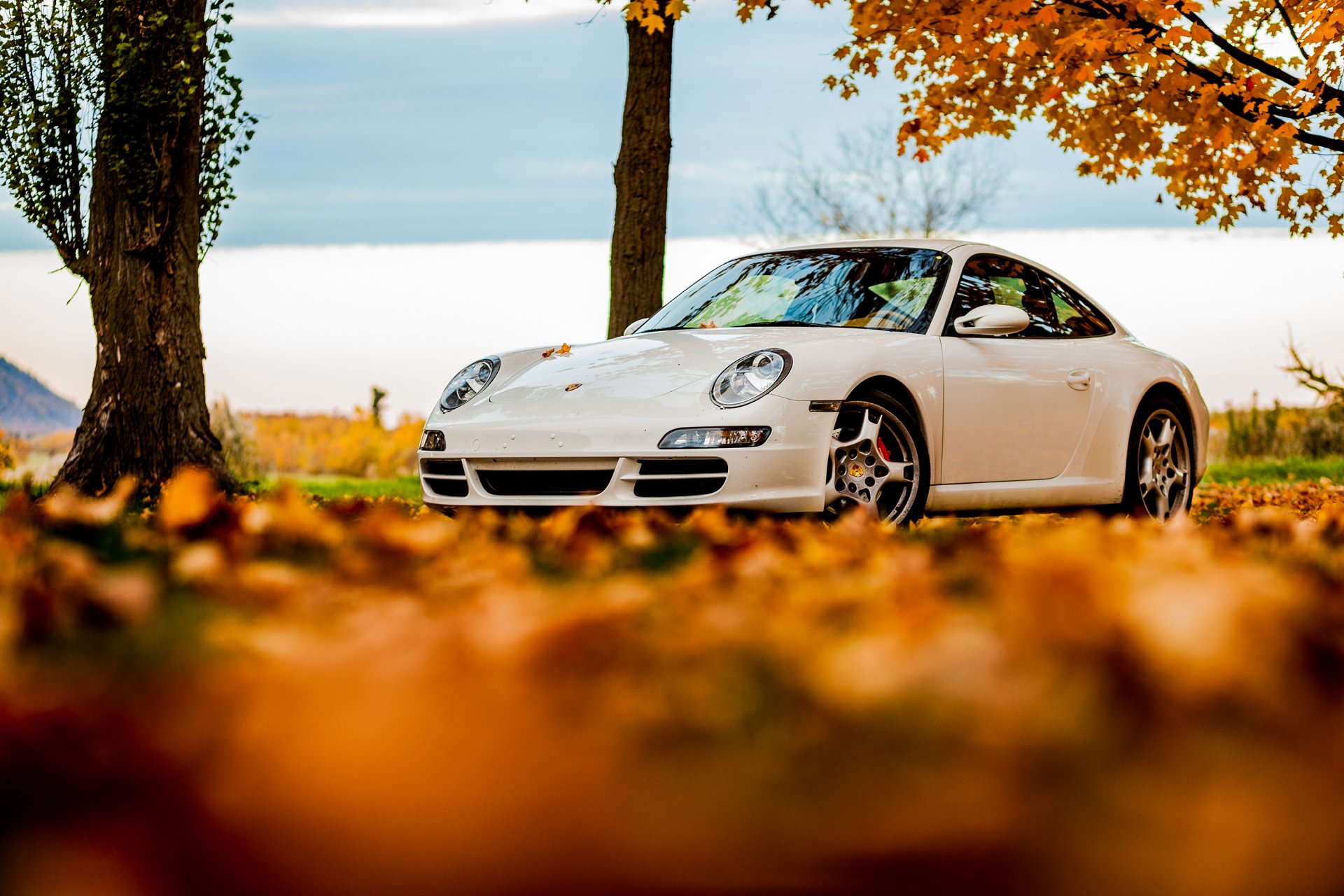 porsche 911 bianco autunno albero fogliame cielo porsche foglie