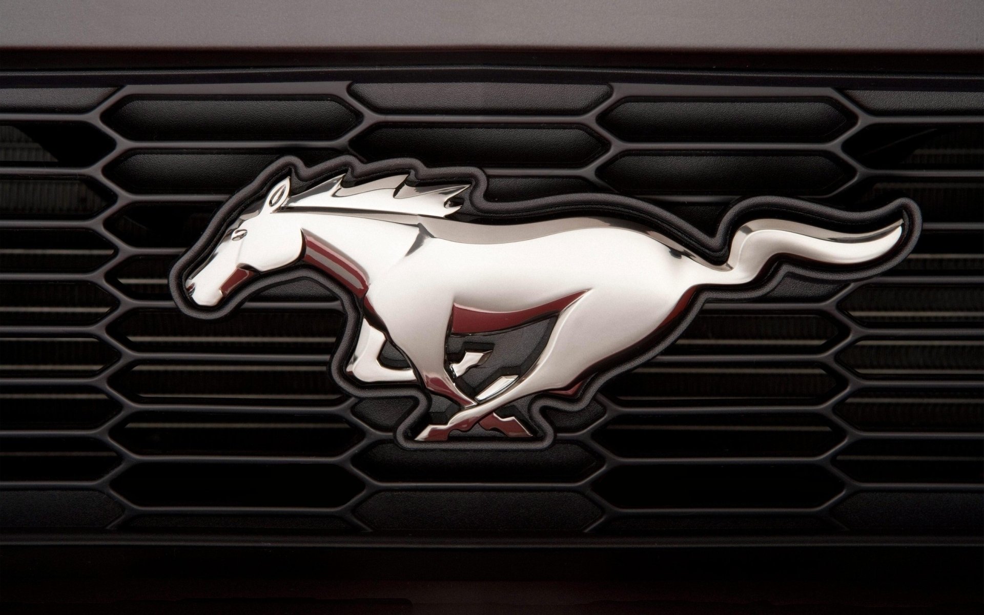 ford mustang emblema targhetta cavallo cavallo cromo griglia macro