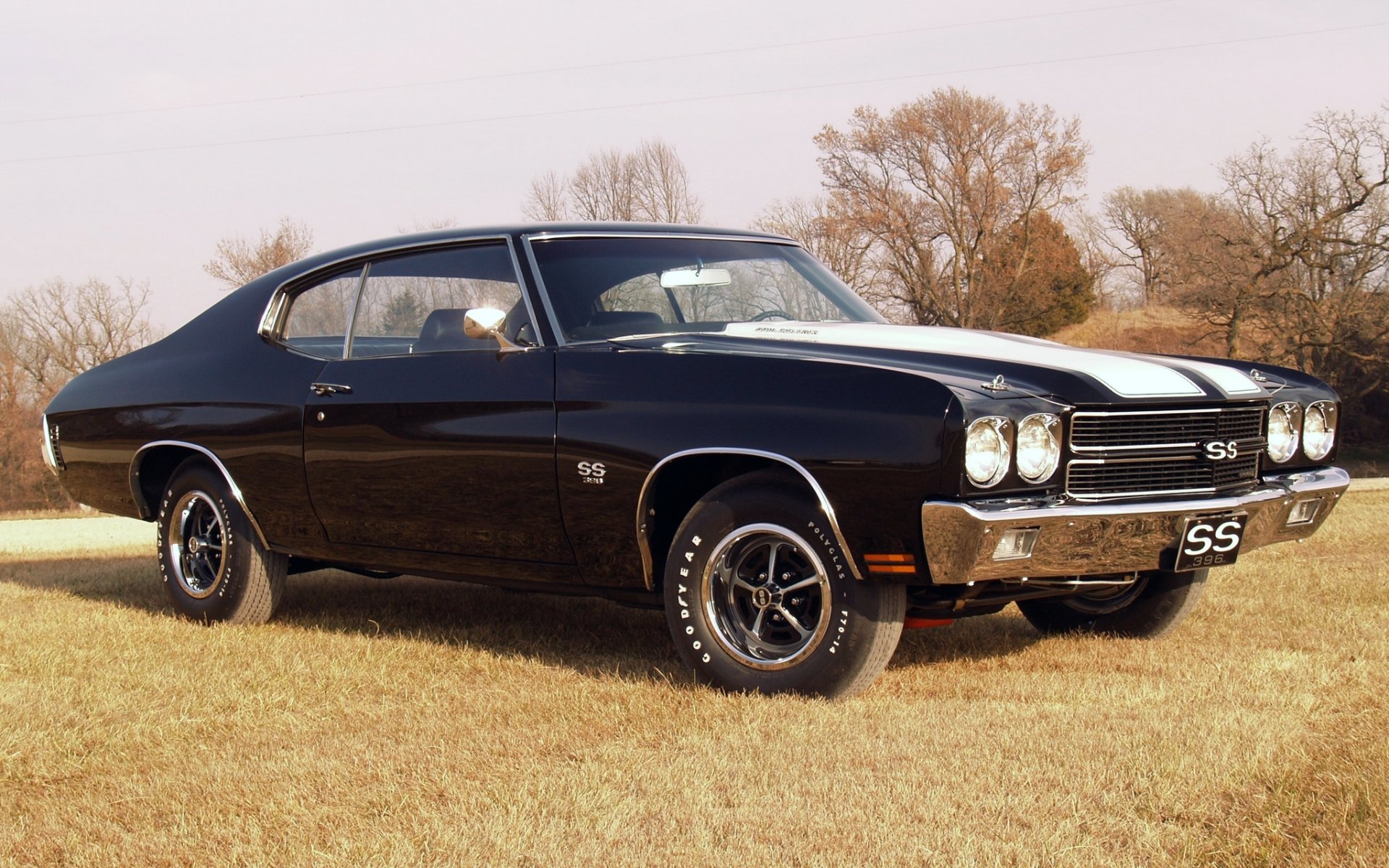 chevrolet chevelle ss hardtop coupe chevrolet cheville hardtop front muscle car muscle car gras bäume himmel