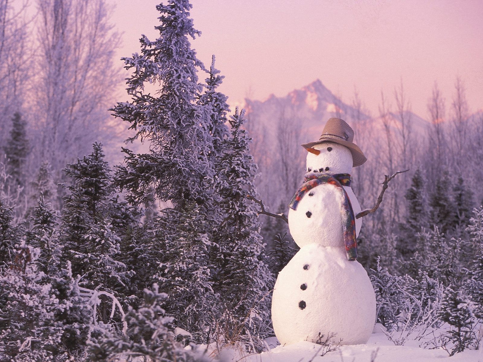 neujahr wald schneemann winter