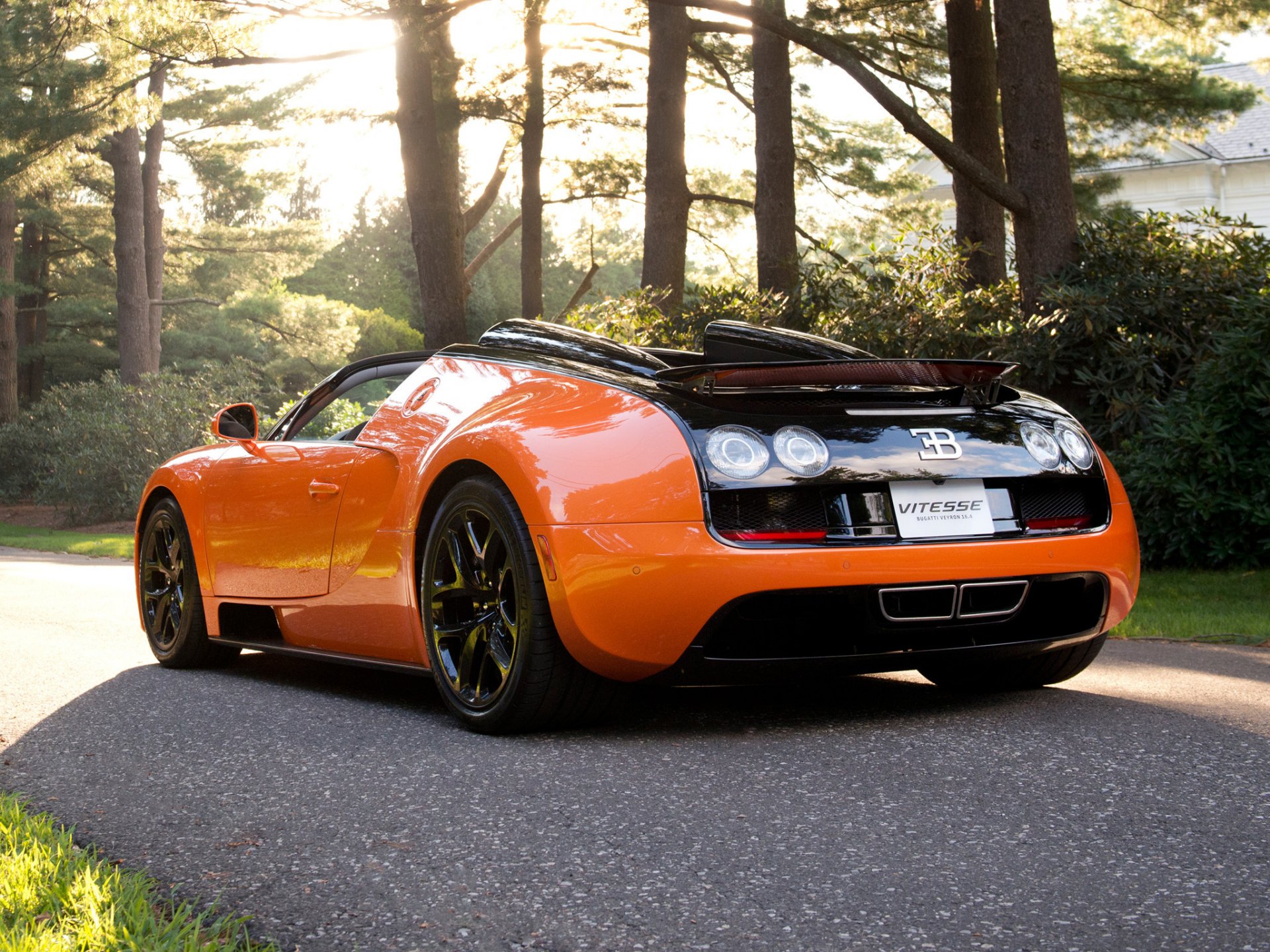 cars sports car bugatti veyron bugatti veyron vitesse orange black road trees