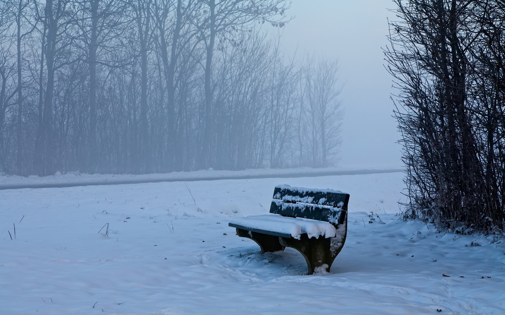 winter bench snow