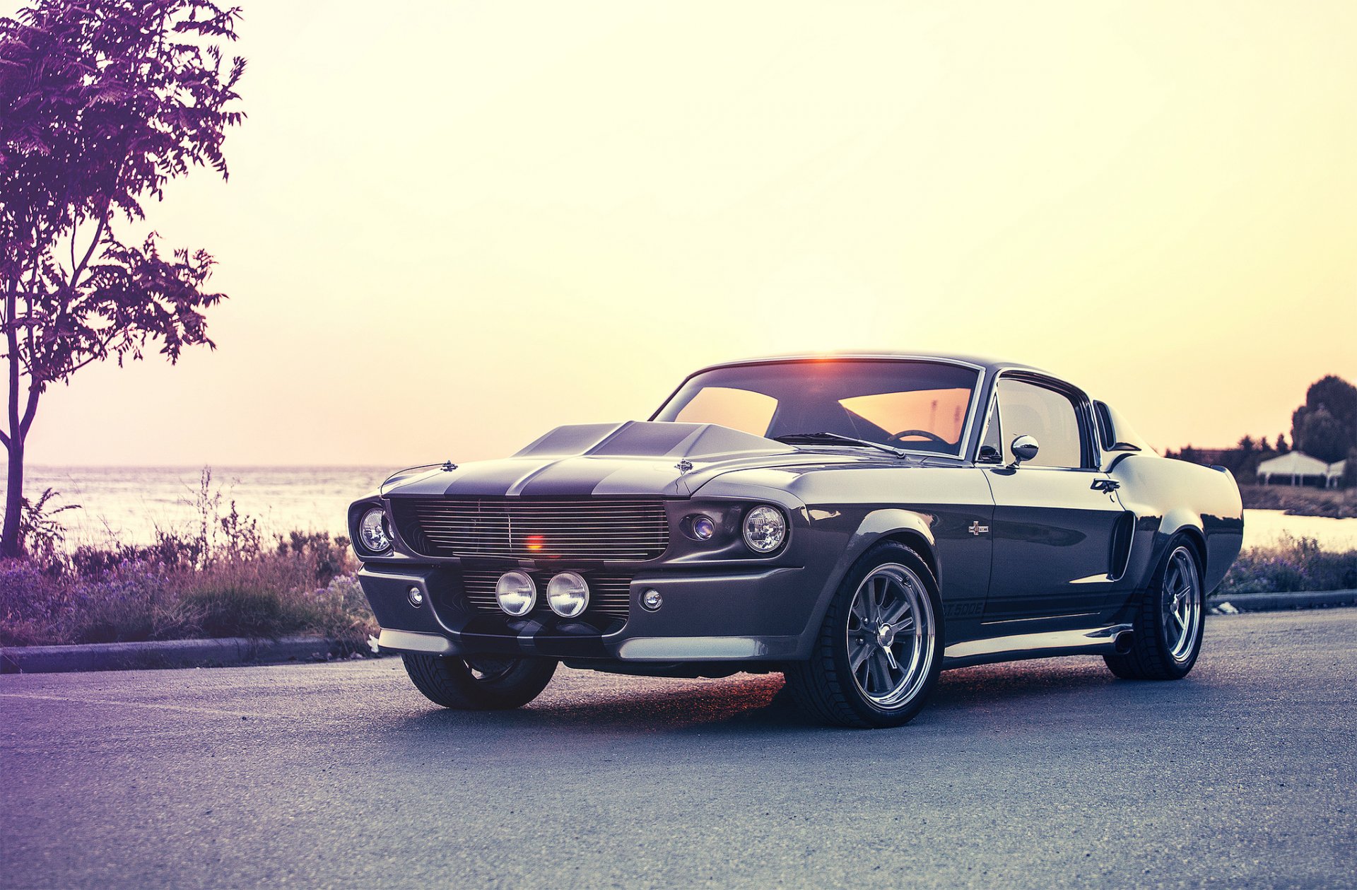 ford mustang eleanor shelby gt500e giannes kokkas photographie