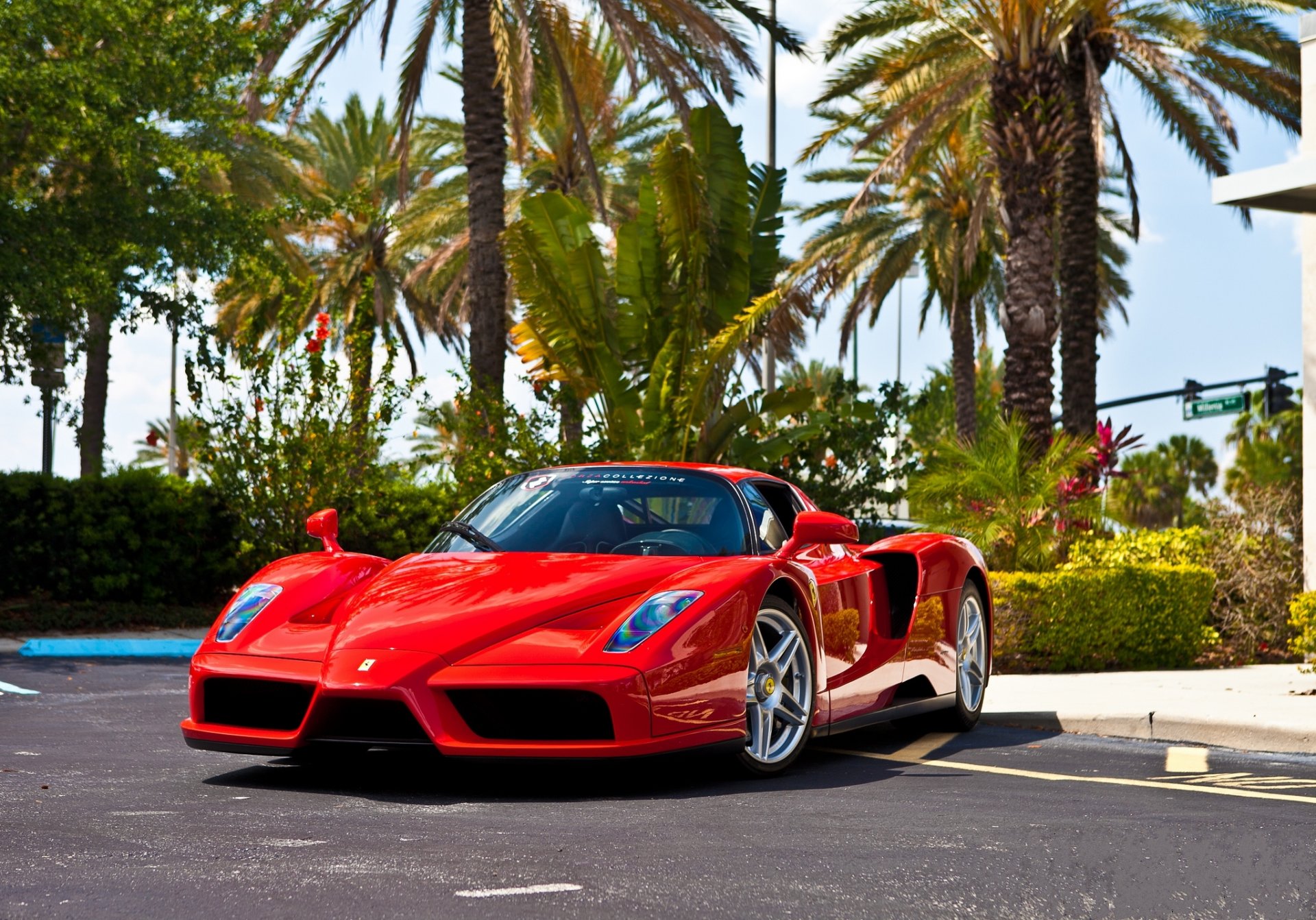 ferrari enzo rouge ferrari rouge vue de face réflexion asphalte arbres