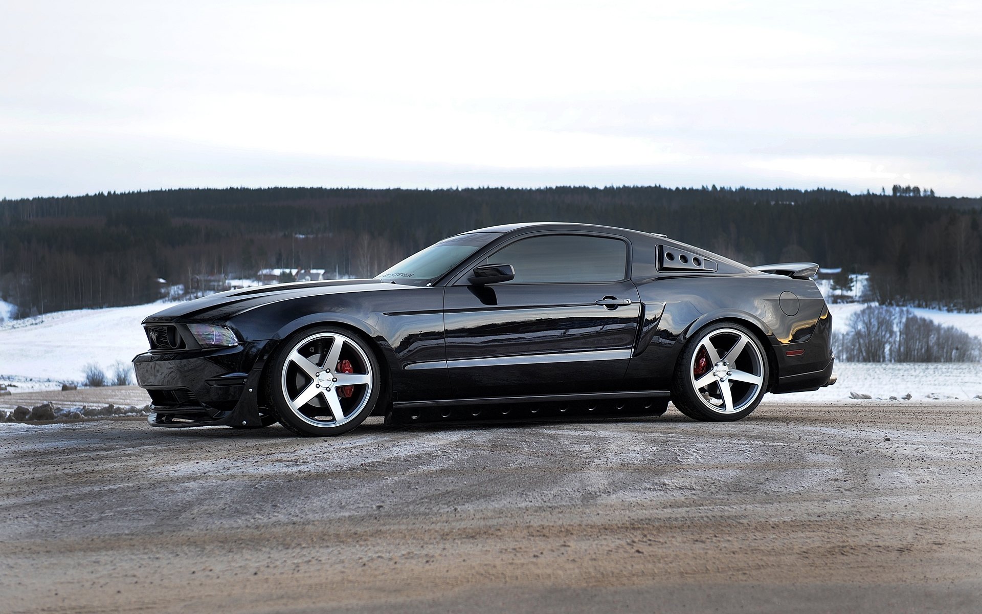 ford mustang nero profilo cerchi orizzonte foresta cielo