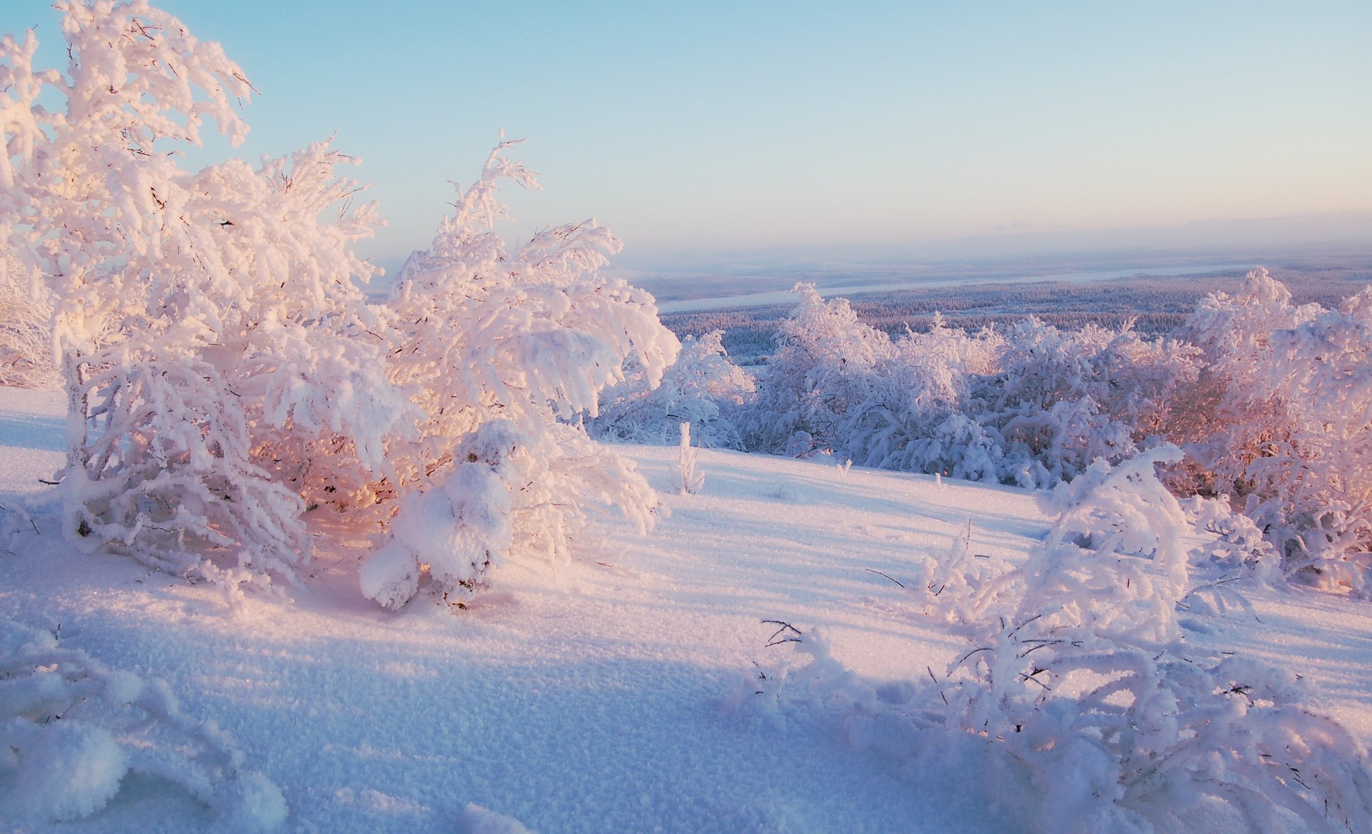 hiver horizon ciel ensoleillé arbres lumière neige