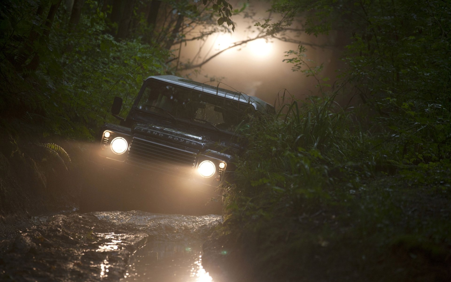 land rover defender land rover defender jeep SUV.front headlights forest.dirt background