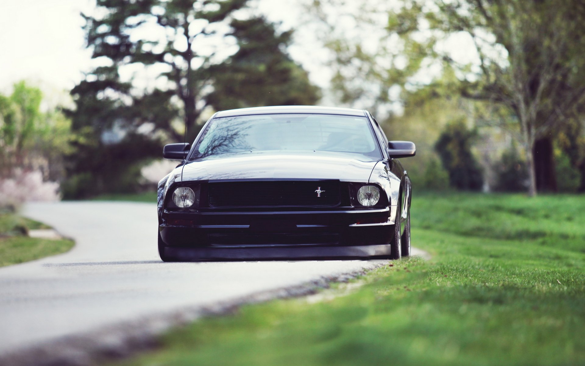 ford mustang messa a punto ford mustang