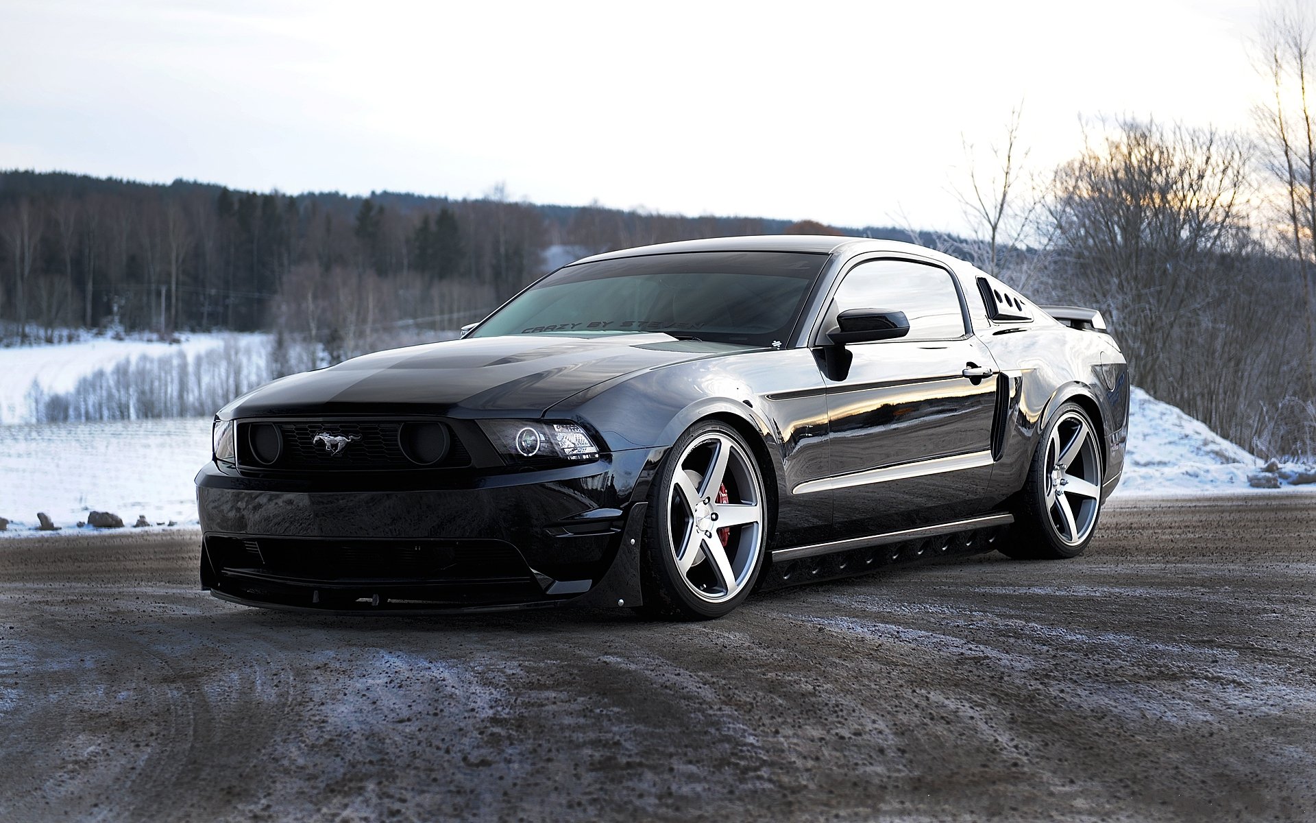 ford mustang black front road sky tree