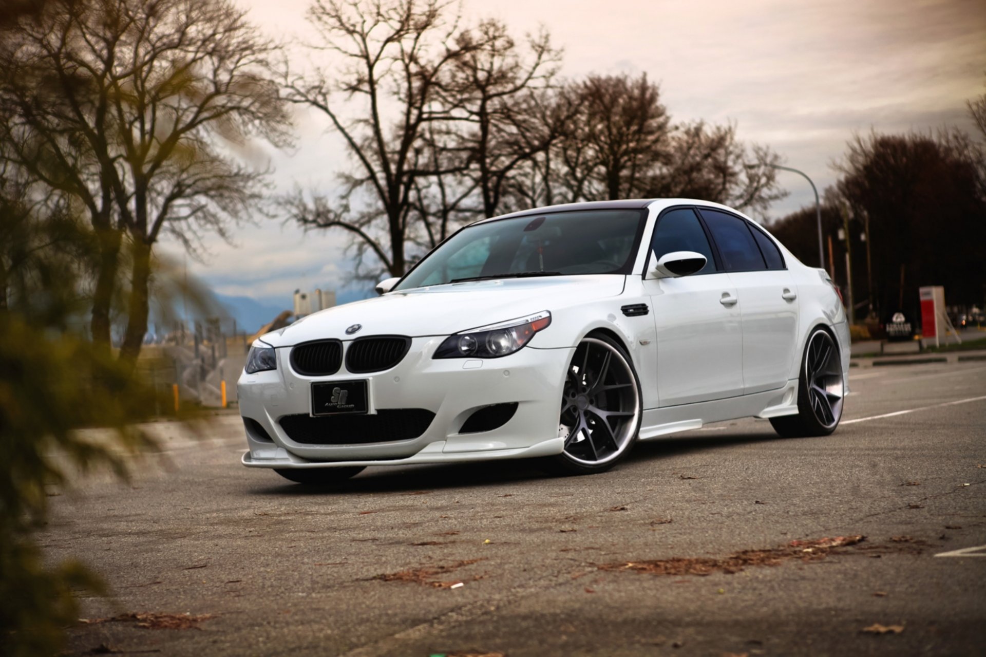 bmw m5 e60 white parking bmw sedan tinted autumn leaves asphalt stripe