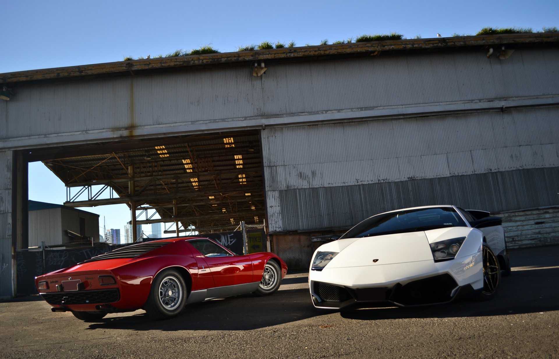 lamborghini murcielago lp670-4 sv white miura red lamborghini murcielago front view red rear view building