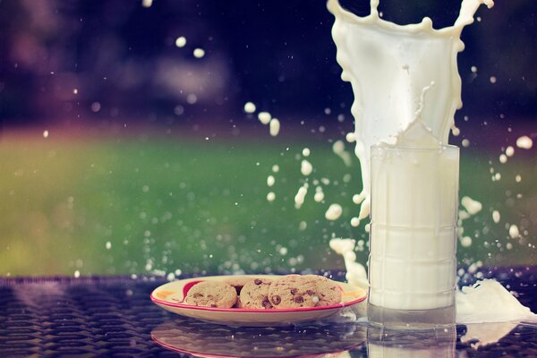 Plato de galletas y vaso de leche con un chorrito